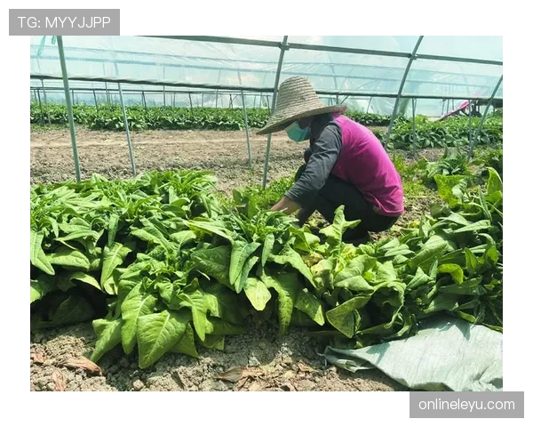 廖秋云训练完顺手拎走两袋米，这饭量谁顶得住